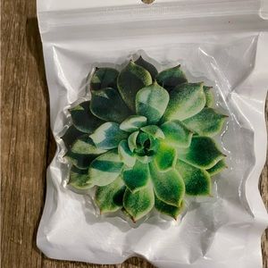 Succulent phone grip